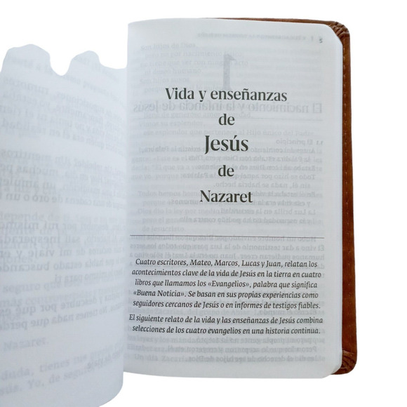 Life and Teachings of Jesus of Nazareth Vida y Ensenanzas de Jesus de Nazaret - Picture 10 of 12